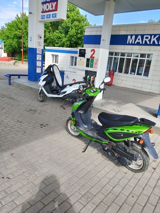 Рейсер лупус в почти идеальном состоянии