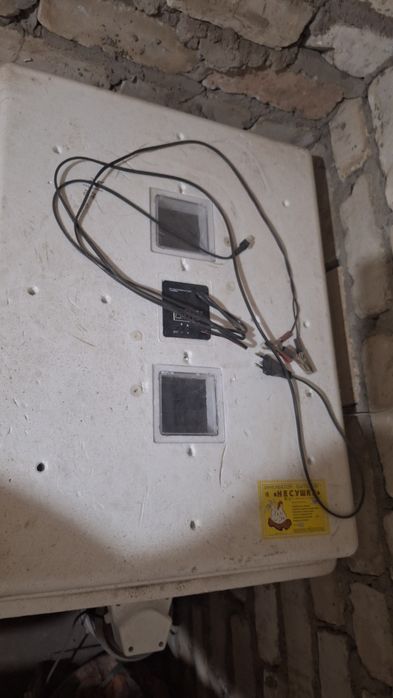 Инкубатор несушка