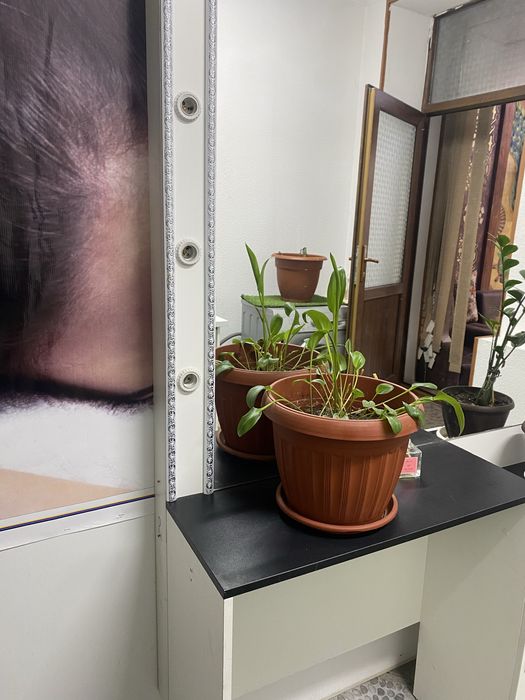 Мебель для салона с зеркалом