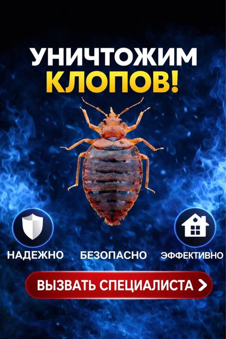 Офиске келіп нақты договормен жұмыс