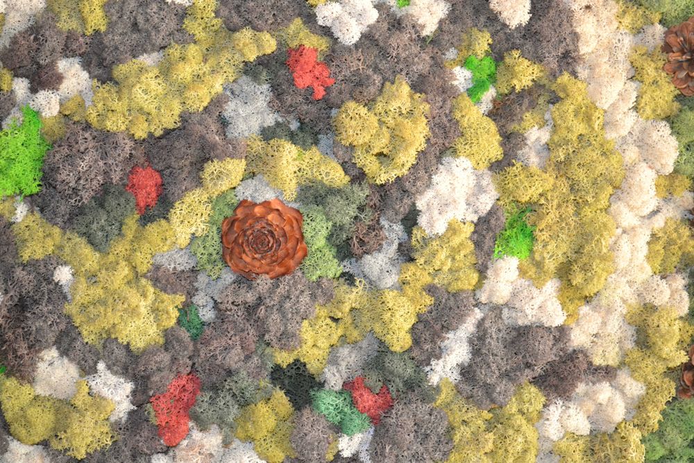 ПАНО със Скандинавски МЪХ