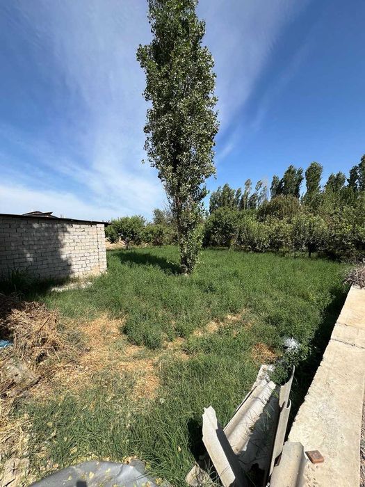 11.7 sotix yer sotiladi orentir bozsuv most SROCHNA