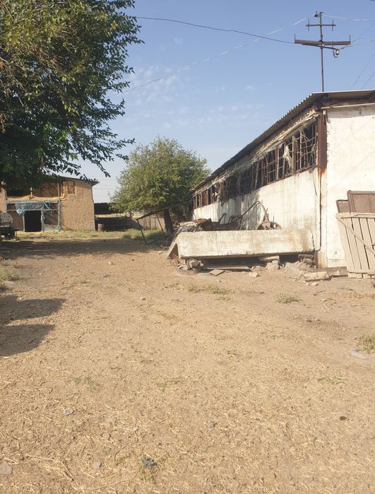 Ферма сотилади 1.5 гектар