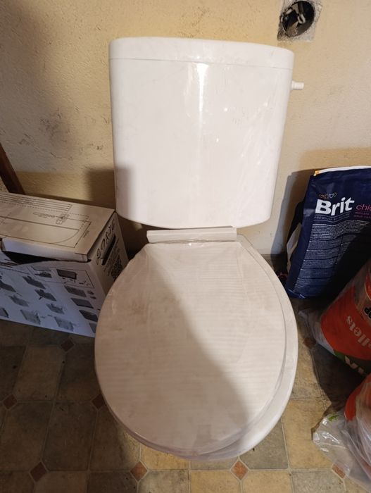 Тоалетна чиния с капак