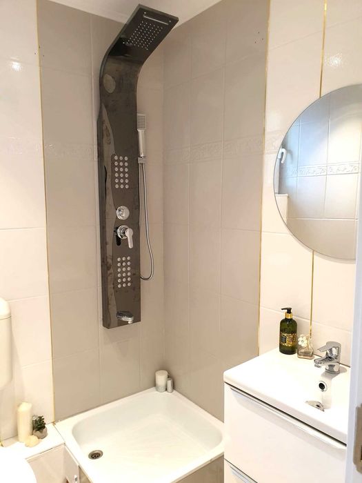 Garsoniera Regie, metrou Grozavesti, proprietar