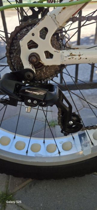 Bicicleta Fat Bike