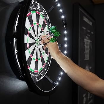 Професионалено   осветление  за дартс борд! !