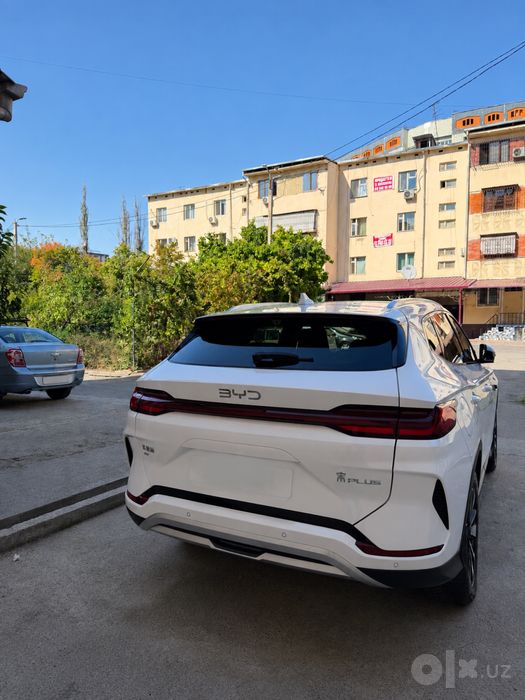 Byd Champion Smart