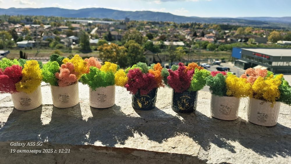 Бюджетни подаръци със скандинавски мъх