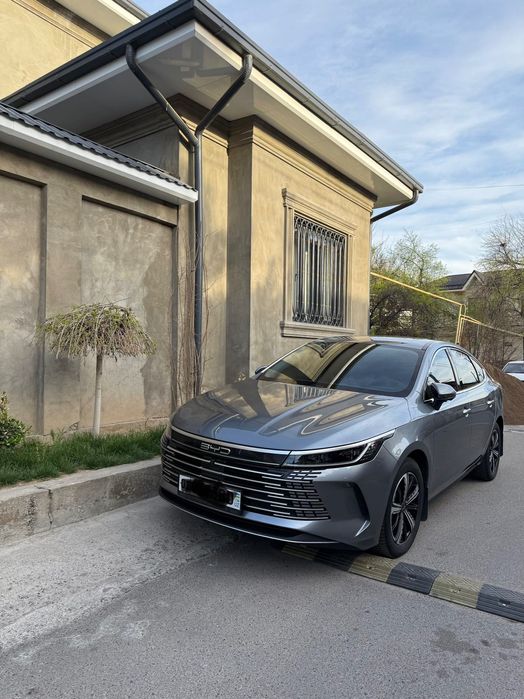 BYD Chazor 2023 Comfort 120 км