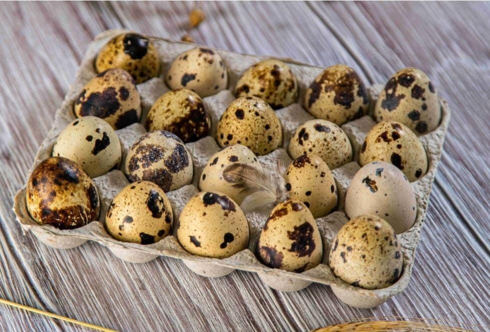 Перепелинные яйца