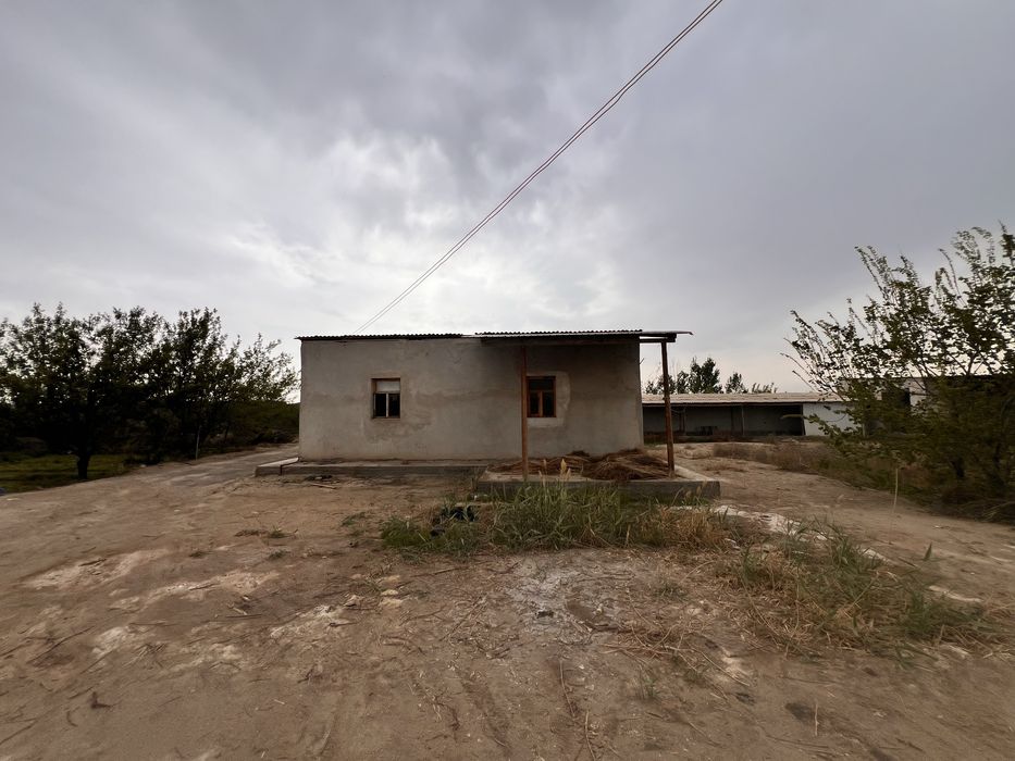 Ferma tayyor (xo’jalik)