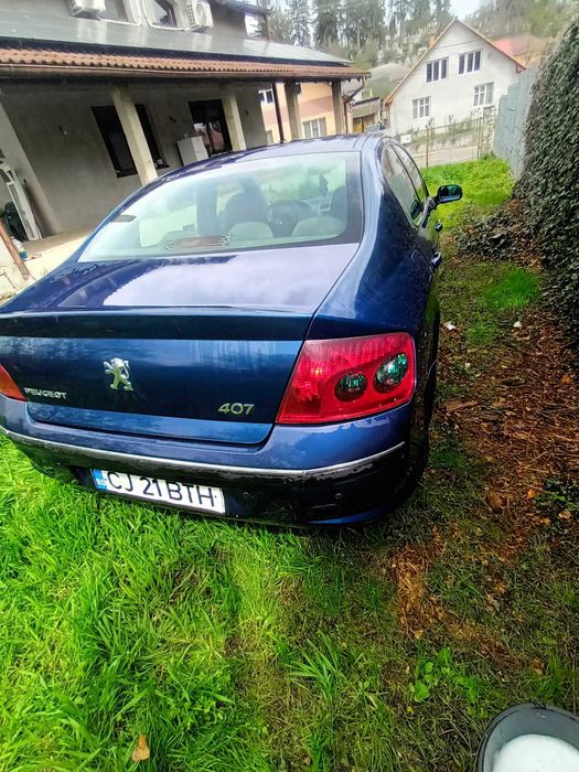 Vand Peugeot407 139 CP