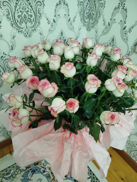 Роза 51шт свежие