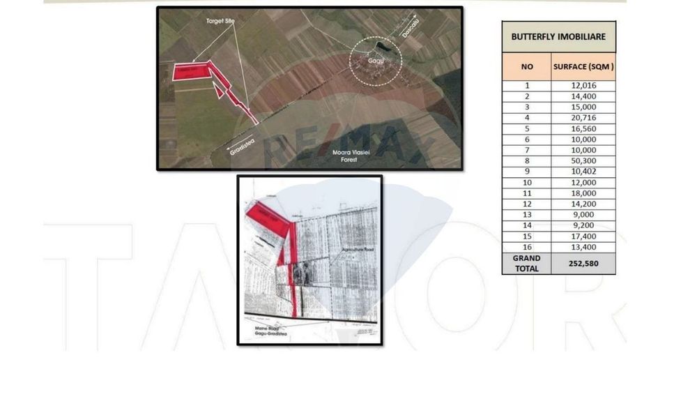 Teren 25.26ha Dascalu / DJ 200
