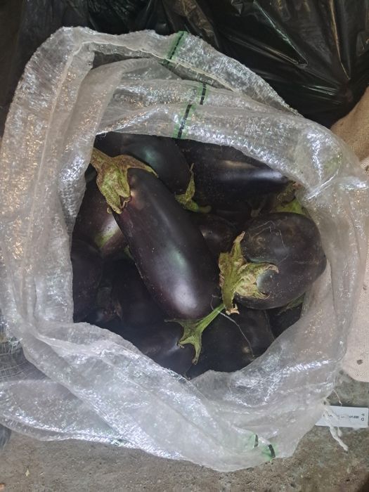 Продам домашний перец квашеная капуста баклажаны