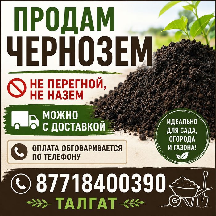 Чернозем, возможна доставка