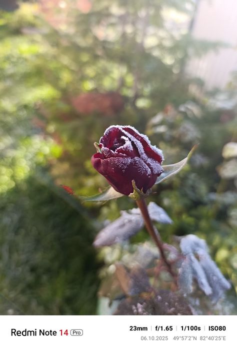 Продам дом П.Красина