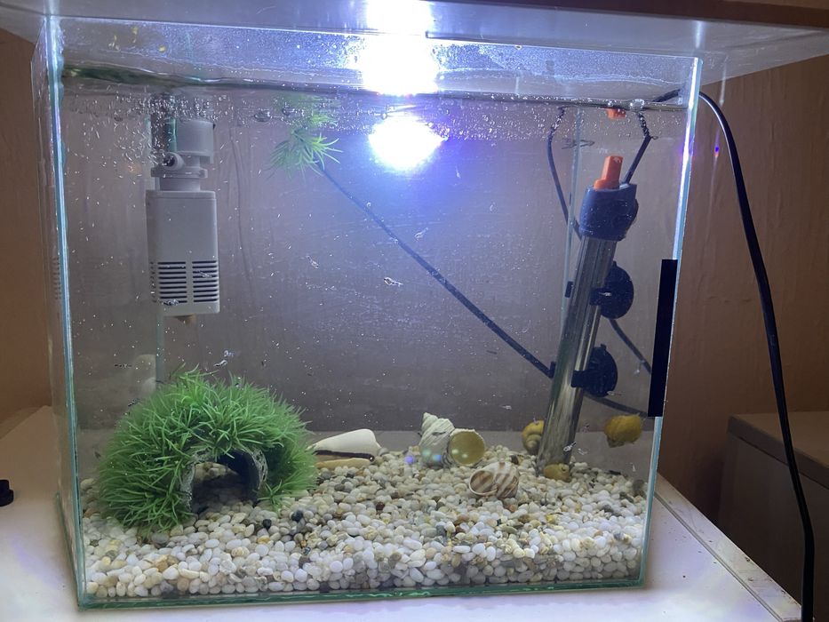 Продам аквариум и рыбок .