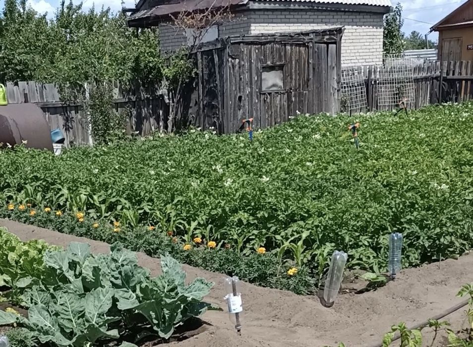 Продам Дачный участок