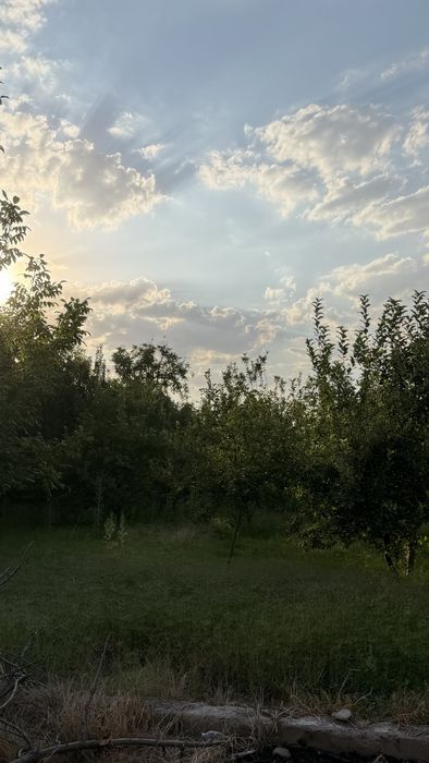 surumda arendaga uchaska