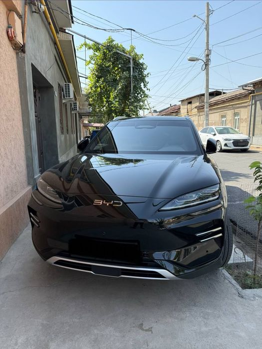 Byd chempion 2024 rest