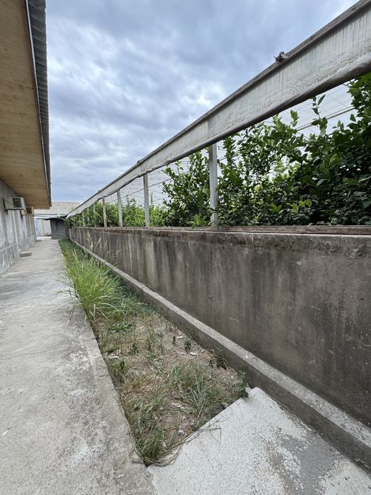 Недвижимость Политотдел