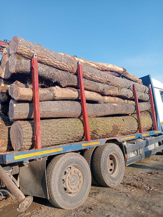 Aduc lemne la comandă