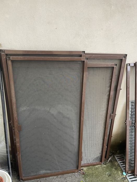 Plase tantari/insecte