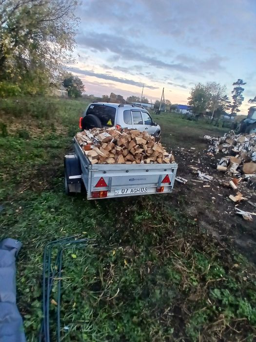 Дрова.берёза.прицеп.