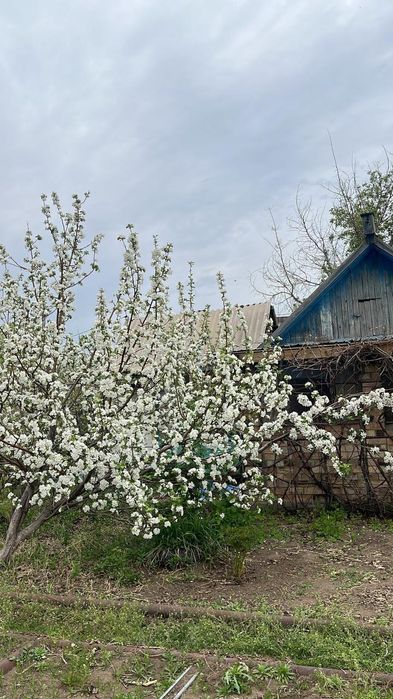 Продам дачу сад "Нефтяник"