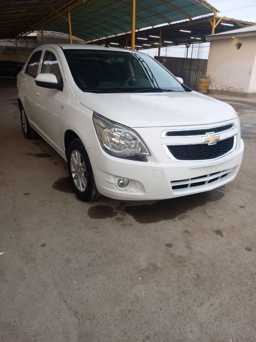 2024 metan kraska toza probek xalol