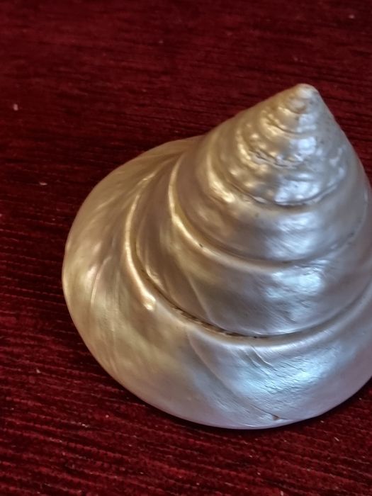 Scoica,cochilie Gigant Trochus Niloticus,sidef natural polizat(11cm)