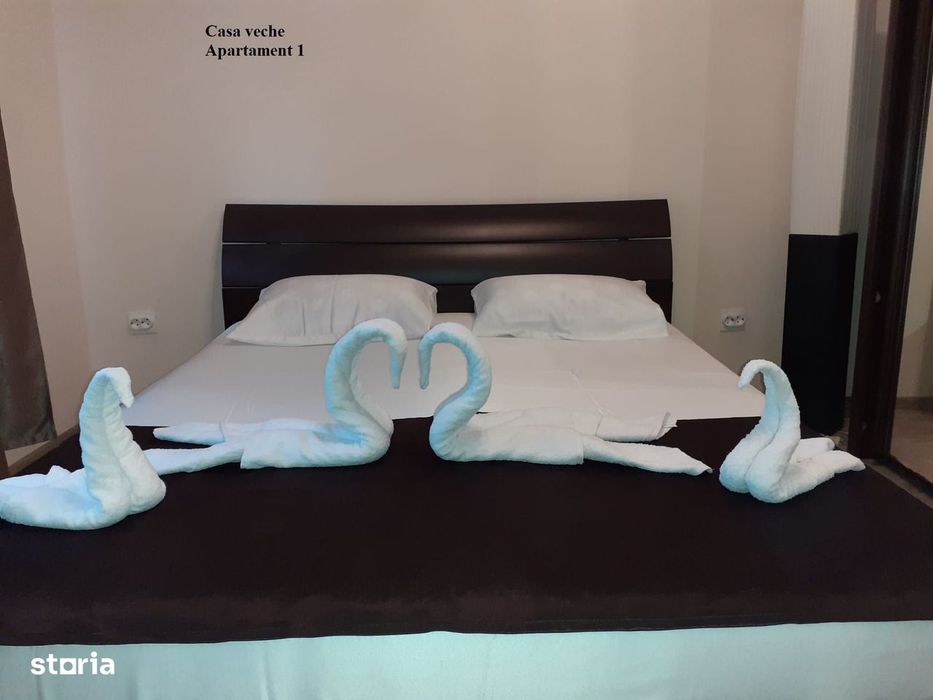 Casă P+1 - oază de relaxare în Palazu Mare