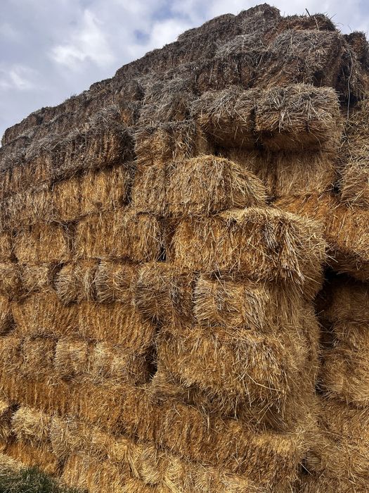 Тюки Саломы для скота