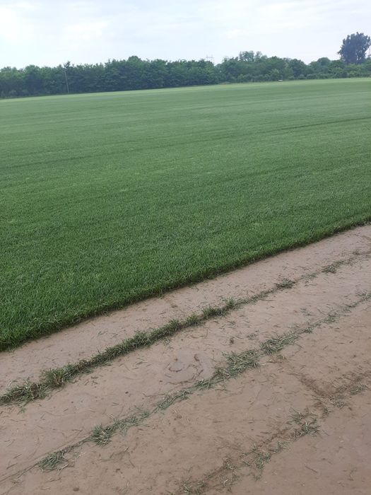 Rulouri de Gazon. Sisteme de Irigatie