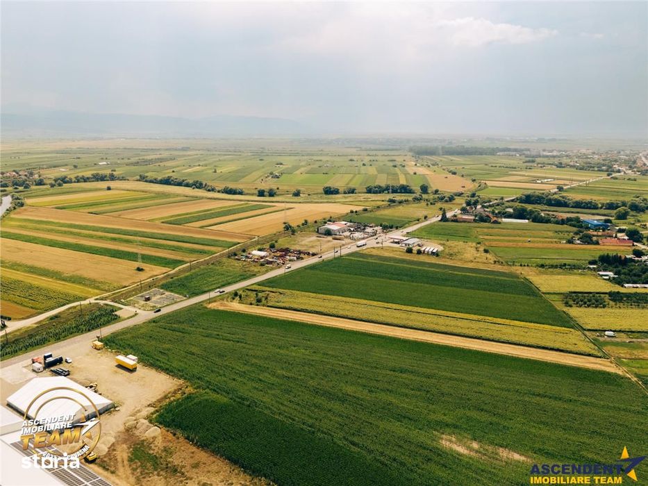 7.000 mp teren industrial premium la DN11, acces TIR, post trafo, Bras