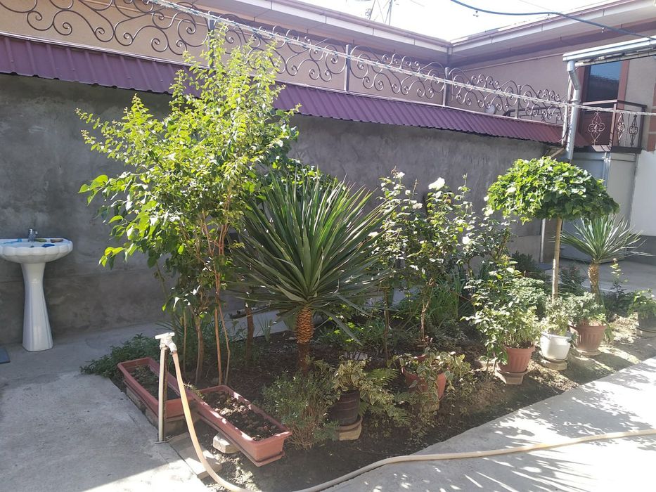 Юнусобод туманда уй сотилади, 3 сотка, 5 та хона