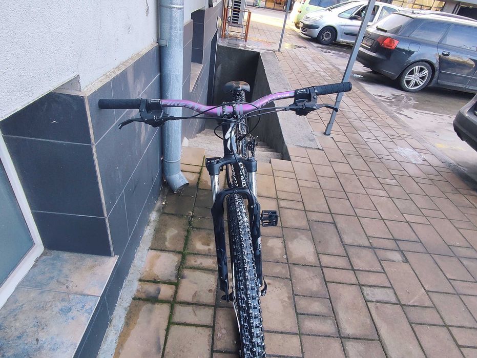 Specialized rockhopper 29