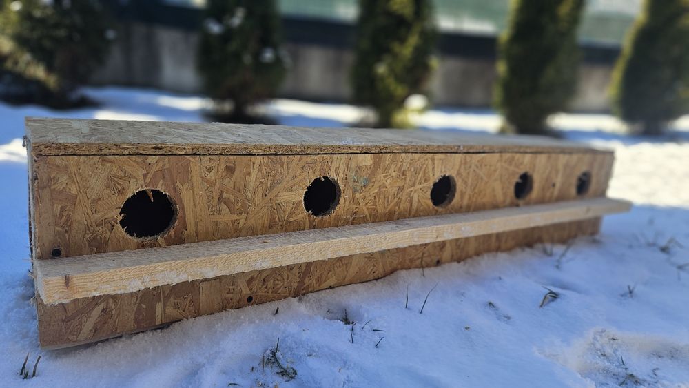 Vând cuibare pentru papagali