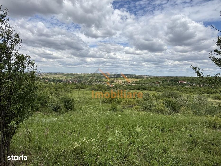 Teren Intravilan  |  1.824 Mp  |  Dealuri  |  Oradea