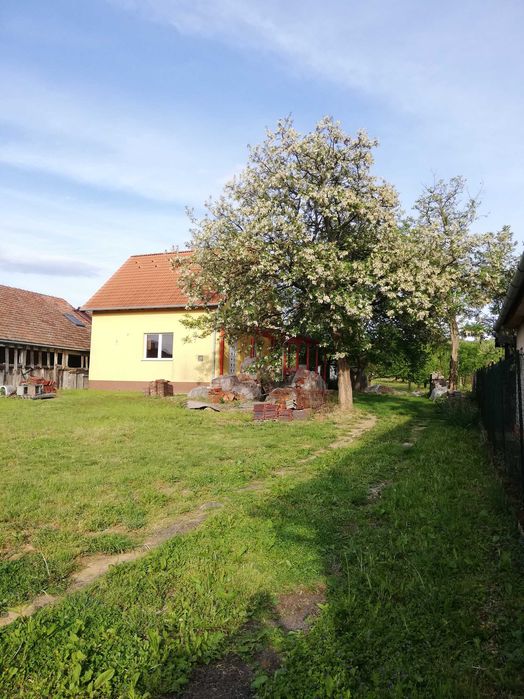 Casa de vinzare Sacueni