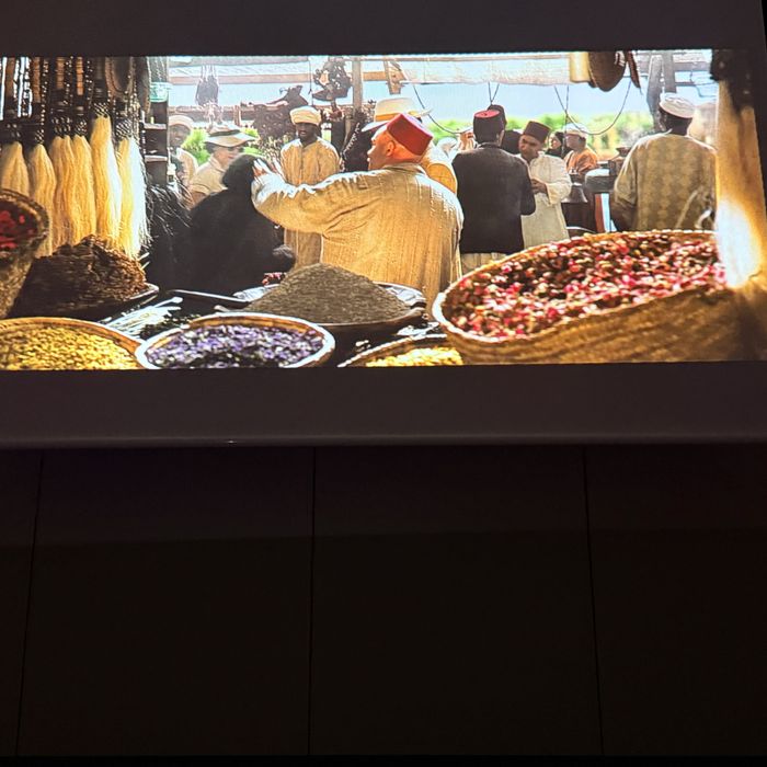 Videoproiector Xgimi Mogo 2 pro +multiangle stand