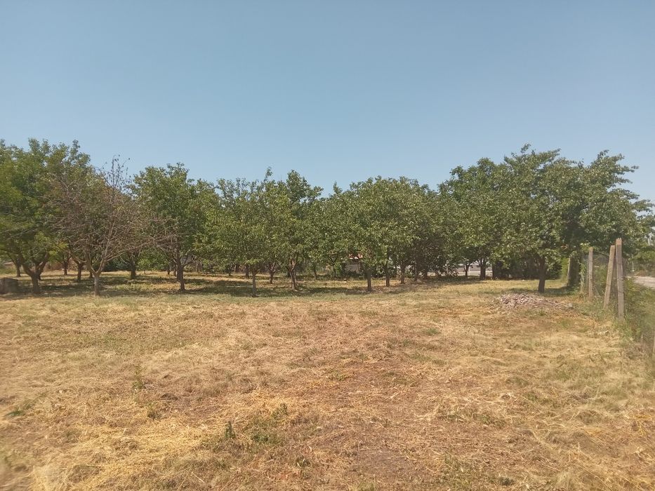 Продава се Парцел в с. Белоградец, Област Варна - 2500 кв.м за 6 €/кв.м - Снимка #1