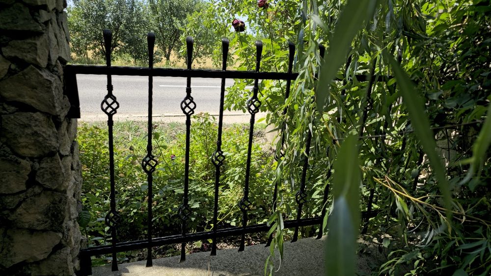 Vând poartă auto,poartă pietonală și 5 panouri de gard din fier forjat