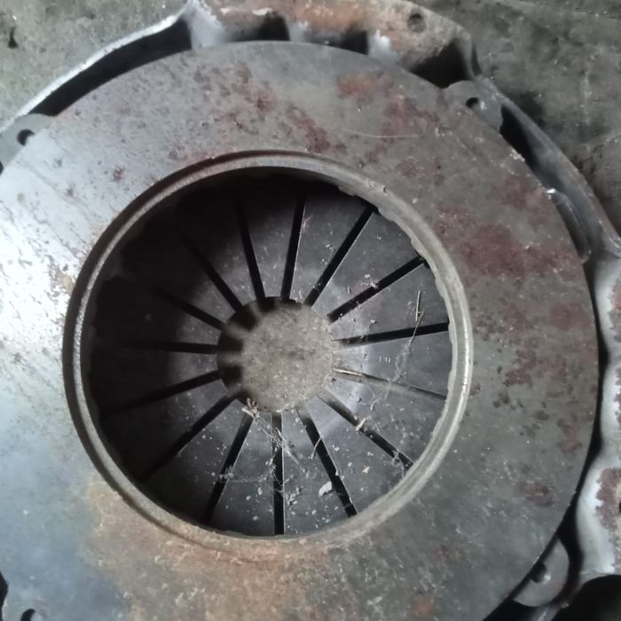 Кепіл беремін жаңа