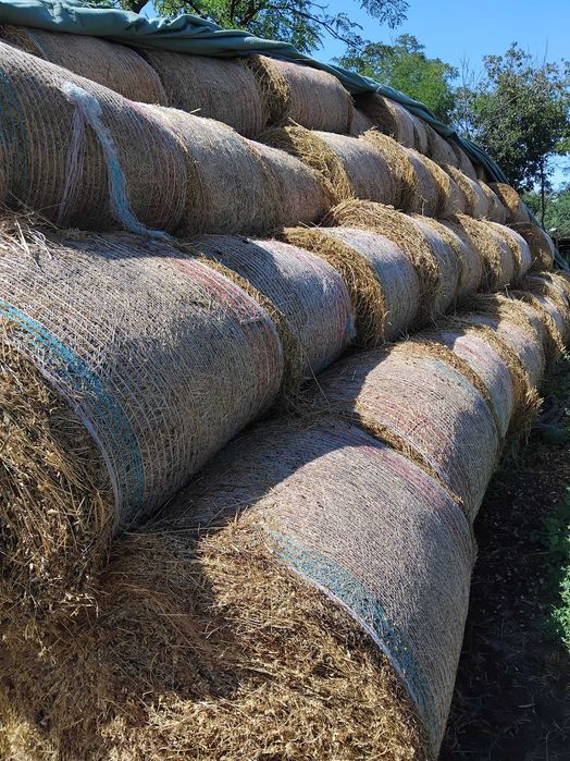 Vând Baloti LUCERNA