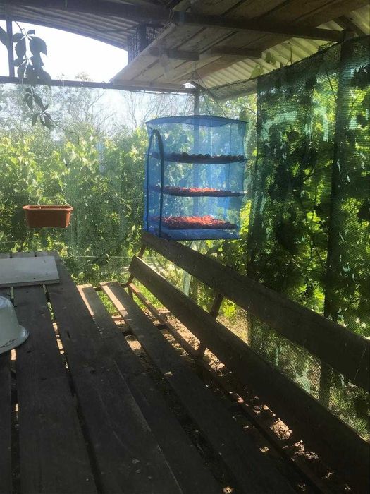 Продается дача (11 соток)