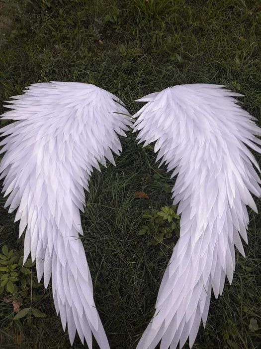 Крила всякакъв размер и модел на достъпни цени!