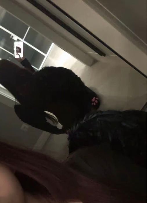 крылья черные с перьями